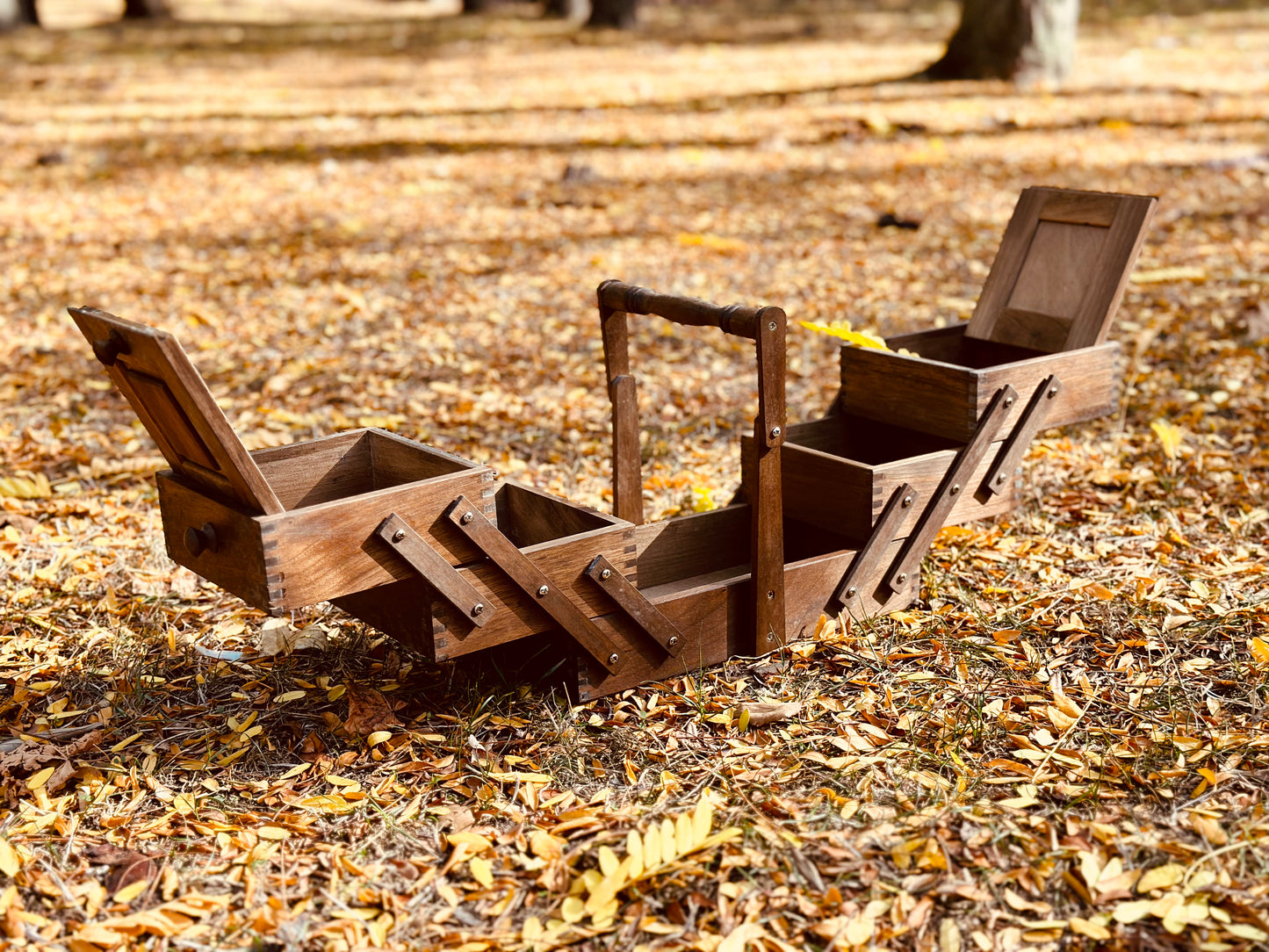 Wooden Tool Chest with Flip Flap Mechanism