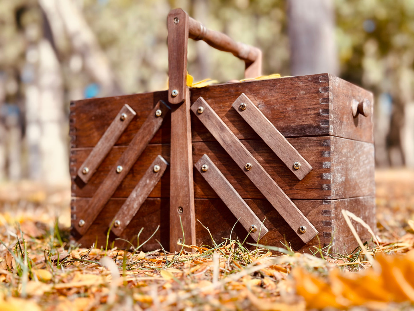 Wooden Tool Chest with Flip Flap Mechanism